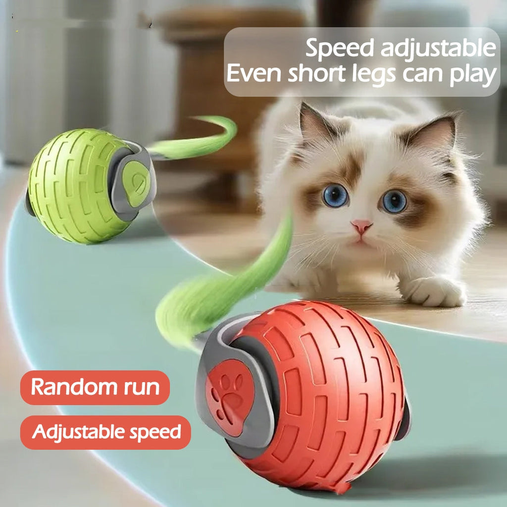 FurWaggy Motion Cat Ball