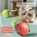 FurWaggy Motion Cat Ball