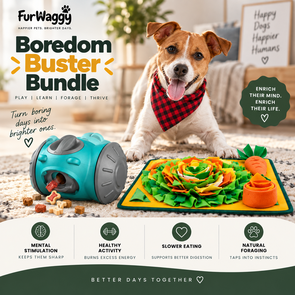 FurWaggy Boredom Buster Bundle – IQ Tumbler Feeder and Snuffle Enrichment Mat