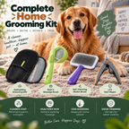 Complete Home Grooming Kit – four grooming essentials with a Golden Retriever