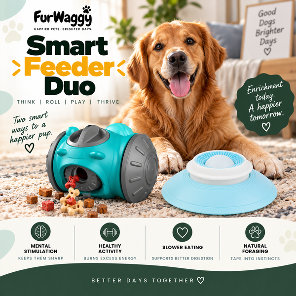 Smart Feeder Duo