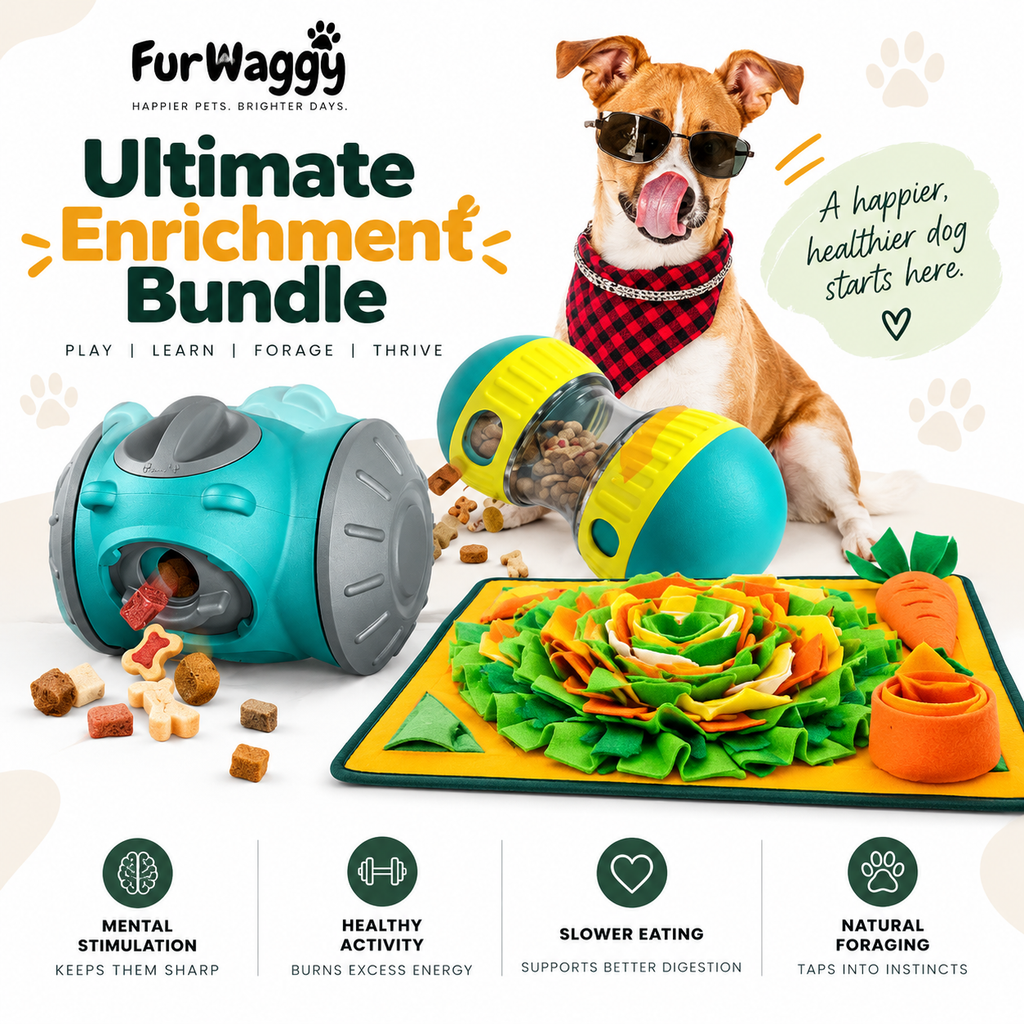 FurWaggy Ultimate Enrichment Bundle – complete enrichment set