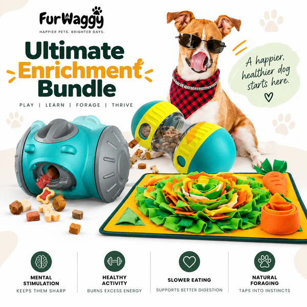 Ultimate Enrichment Bundle